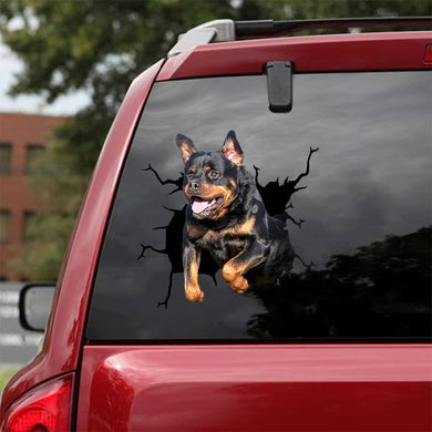 [da0428-snf-tnt]-rottweiler-crack-car-sticker-dogs-lover