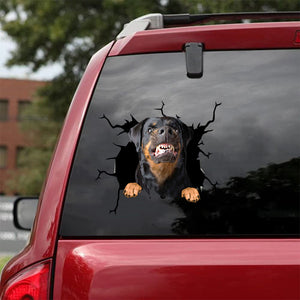 [da0429-snf-tnt]-rottweiler-crack-car-sticker-dogs-lover