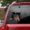 [da0430-snf-tnt]-rottweiler-crack-car-sticker-dogs-lover