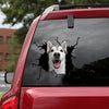 [sk0941-snf-lad]-funny-husky-crack-car-sticker-dogs-lover