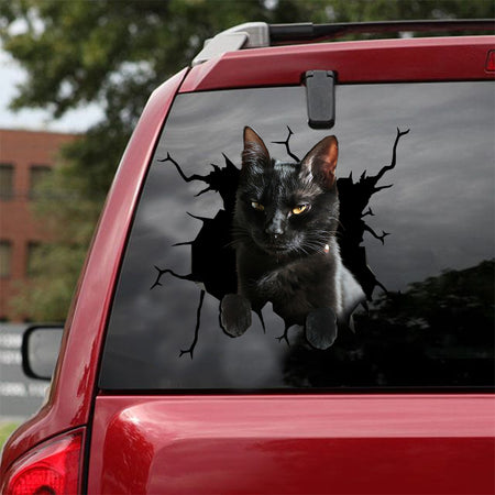 [ld0102-snf-lad]-black-cat-crack-car-sticker-cats-lover