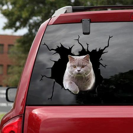 [ld0005-snf-lad]-british-shorthair-crack-car-sticker-cats-lover