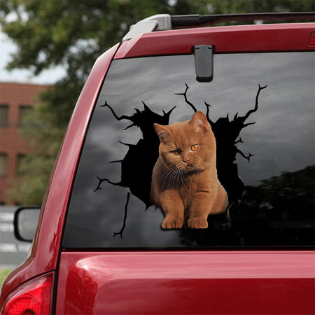 [ld0006-snf-lad]-british-shorthair-crack-car-sticker-cats-lover