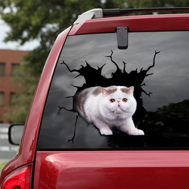 [ld0009-snf-lad]-british-shorthair-crack-car-sticker-cats-lover