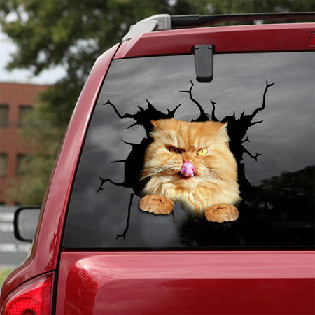 [ld0181-snf-lad]-persian-crack-car-sticker-cats-lover