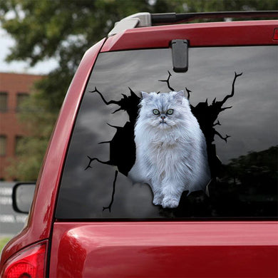 [ld0182-snf-lad]-persian-crack-car-sticker-cats-lover