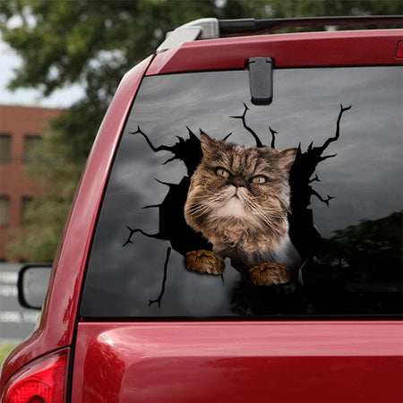[ld0183-snf-lad]-persian-crack-car-sticker-cats-lover