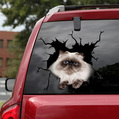 [ld0185-snf-lad]-persian-crack-car-sticker-cats-lover