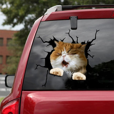 [ld0186-snf-lad]-persian-crack-car-sticker-cats-lover