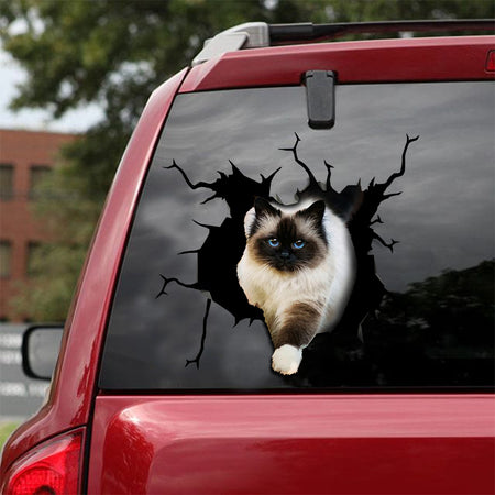 Ragdoll Cat Crack Sticker Pack Humor Vinyl Decals For Cars 21st Birthday Gift Ideas
