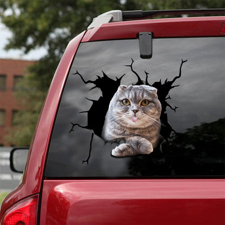 [ld0018-snf-lad]-the-scottish-fold-crack-car-sticker-cats-lover