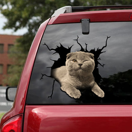 [ld0019-snf-lad]-the-scottish-fold-crack-car-sticker-cats-lover