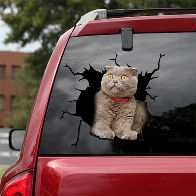 [ld0020-snf-lad]-the-scottish-fold-crack-car-sticker-cats-lover