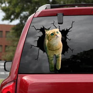 [ld0023-snf-lad]-the-scottish-fold-crack-car-sticker-cats-lover