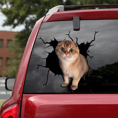 [ld0024-snf-lad]-the-scottish-fold-crack-car-sticker-cats-lover