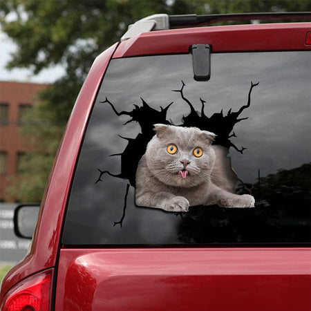 [ld0025-snf-lad]-the-scottish-fold-crack-car-sticker-cats-lover