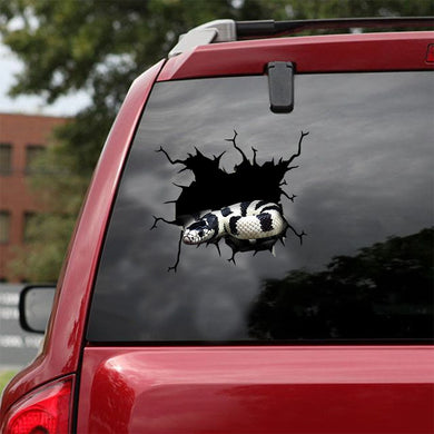 [ld1318-snf-lad]-snake-crack-car-sticker-snakes-lover