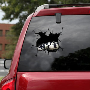 [ld1318-snf-lad]-snake-crack-car-sticker-snakes-lover
