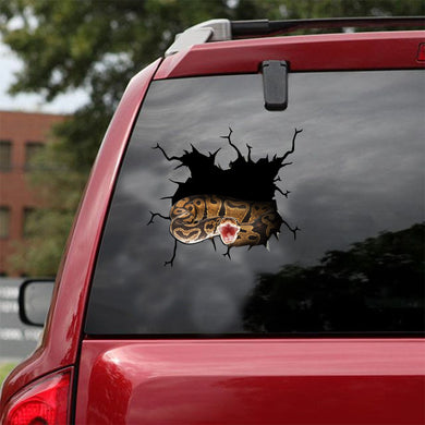 [ld1311-snf-lad]-snake-crack-car-sticker-snakes-lover
