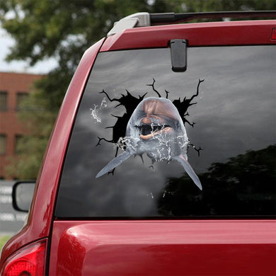 [ld1389-snf-lad]-common-dolphin-crack-car-sticker-fishing-lover
