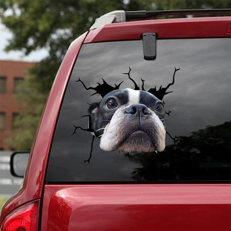 [sk1429-snf-tpa]-boston-terrier-crack-car-sticker-dogs-lover