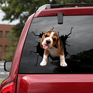 [sk1398-snf-lad]-beagle-crack-sticker-dogs-lover