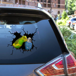 Budgerigars Bird Sticker Funny Parrot Wall Decals For Car