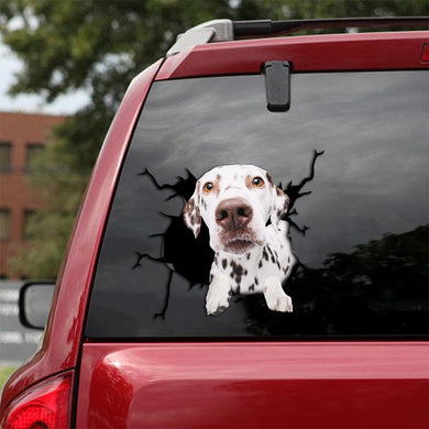 [th0028-snf-tpa]-dalmatian-crack-car-sticker-dogs-lover