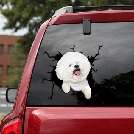 [th0024-snf-tpa]-bichon-frise-crack-car-sticker-dogs-lover