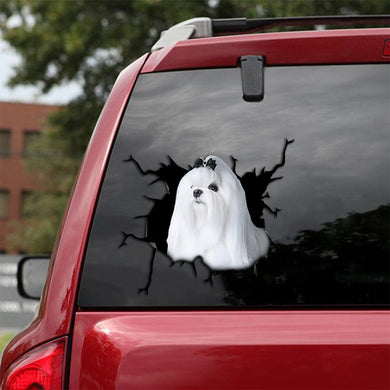 [th0020-snf-tpa]-maltese-crack-sticker-dogs-lover