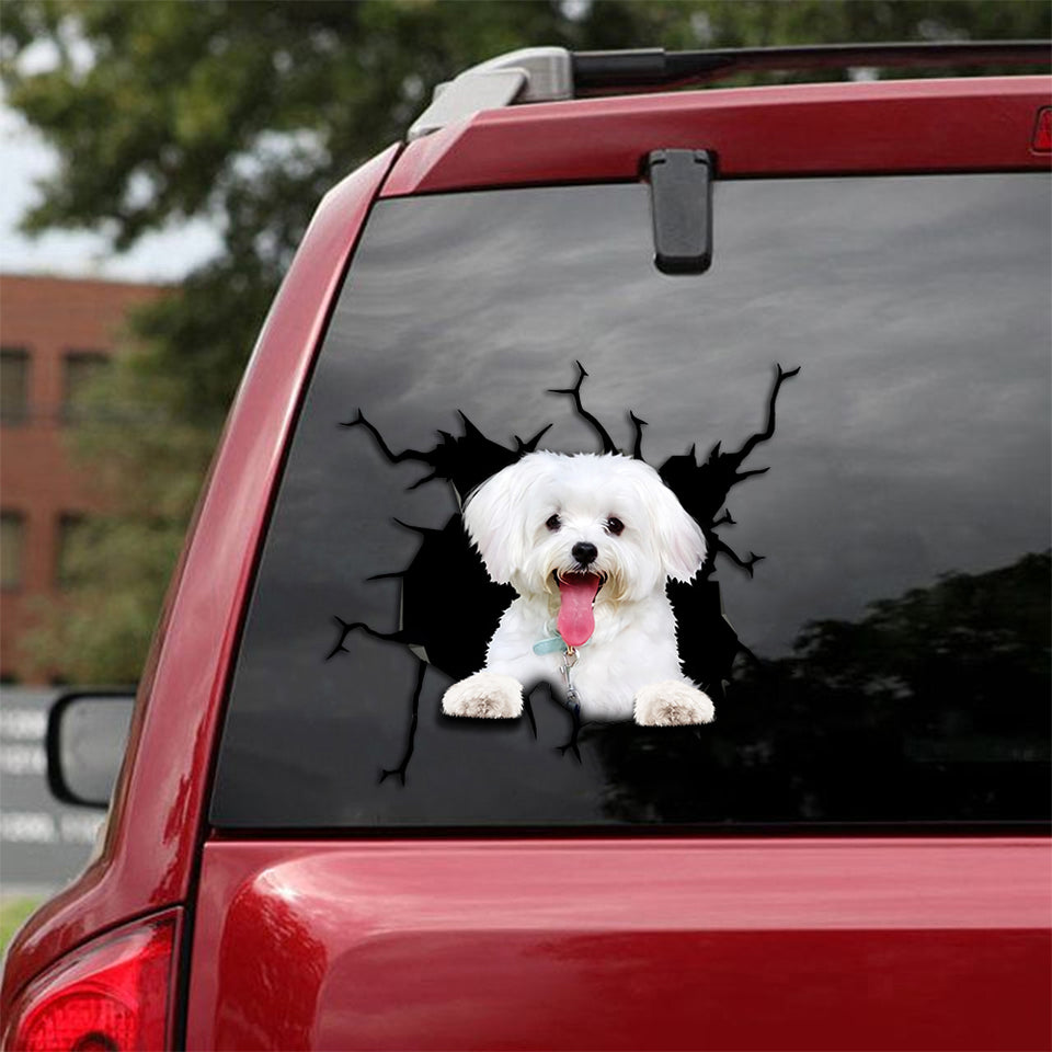 [th0021-snf-tpa]-maltese-crack-sticker-dogs-lover