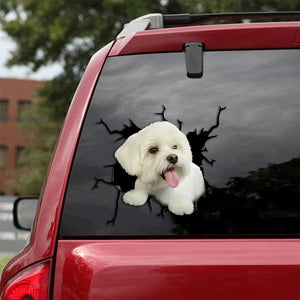 [th0023-snf-tpa]-maltese-crack-sticker-dogs-lover