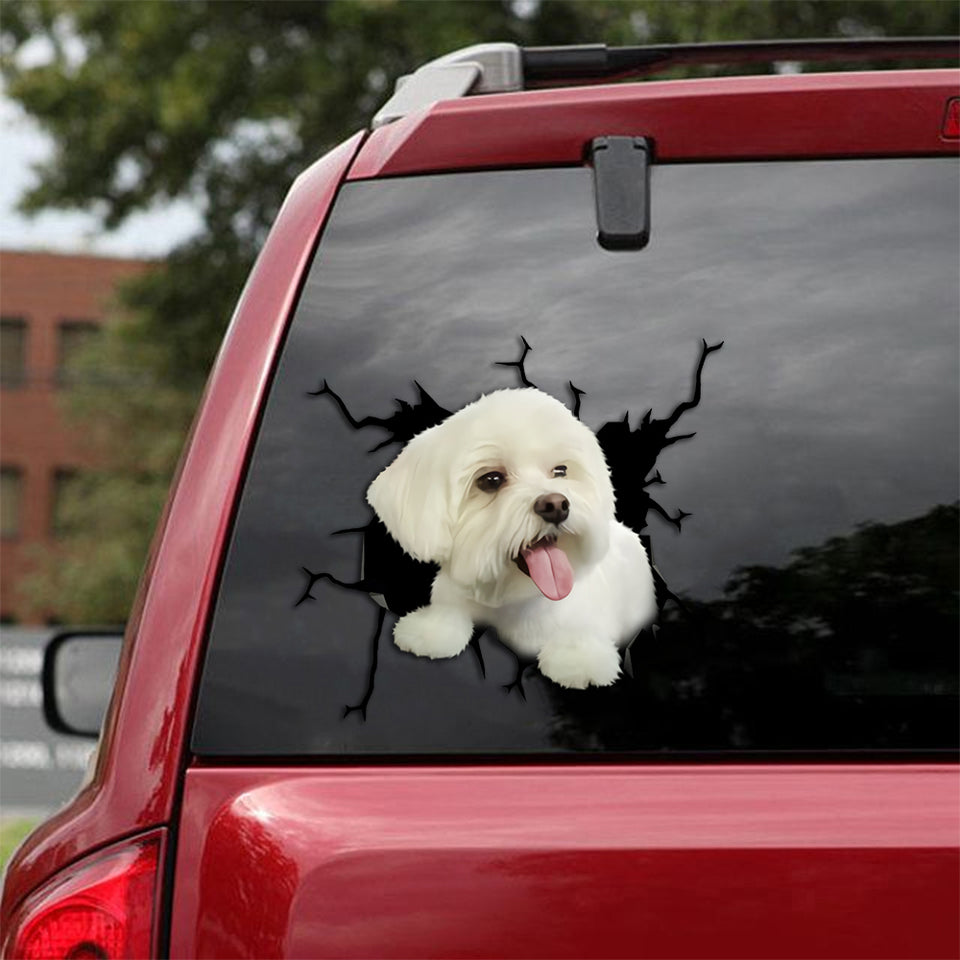 [th0023-snf-tpa]-maltese-crack-sticker-dogs-lover
