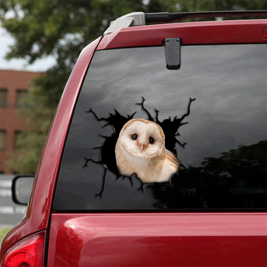 [th0037-snf-tpa]-owl-crack-car-sticker-owl-lover