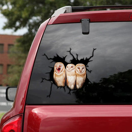 [th0040-snf-tpa]-owl-crack-car-sticker-owl-lover