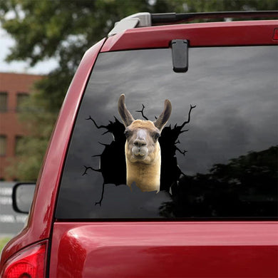 [da0453-snf-tnt]-funny-llama-crack-car-sticker-animals-lover-appy-outside-12x12inch