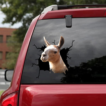[da0455-snf-tnt]-funny-llama-crack-car-sticker-animals-lover-appy-outside-12x12inch