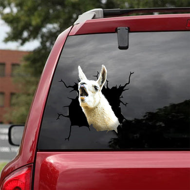[da0456-snf-tnt]-funny-llama-crack-car-sticker-animals-lover-appy-outside-12x12inch
