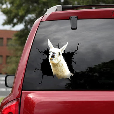 [da0457-snf-tnt]-funny-llama-crack-car-sticker-animals-lover-appy-outside-12x12inch