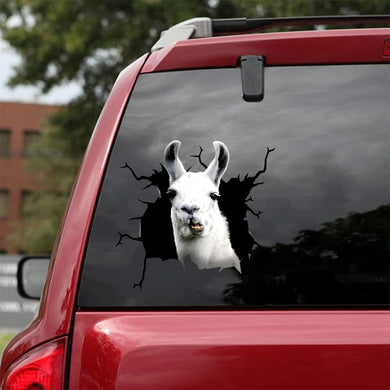 [da0458-snf-tnt]-funny-llama-crack-car-sticker-animals-lover-appy-outside-12x12inch