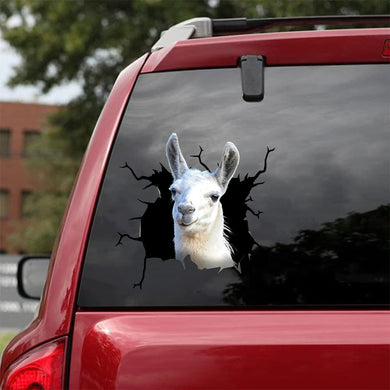 [da0459-snf-tnt]-funny-llama-crack-car-sticker-animals-lover-appy-outside-12x12inch