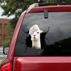 [da0460-snf-tnt]-funny-llama-crack-car-sticker-animals-lover-appy-outside-12x12inch