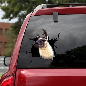 [da0462-snf-tnt]-funny-llama-crack-car-sticker-animals-lover-appy-outside-12x12inch