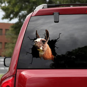 [da0449-snf-tnt]-funny-llama-crack-car-sticker-animals-lover-appy-outside-12x12inch
