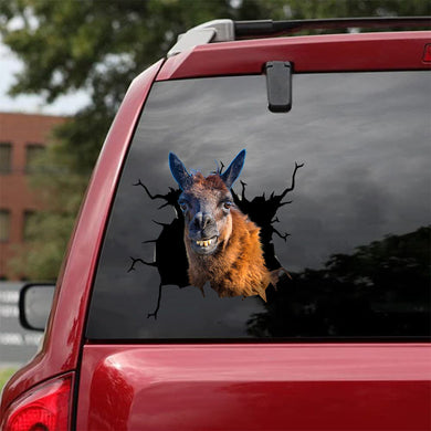 [da0450-snf-tnt]-funny-llama-crack-car-sticker-animals-lover-appy-outside-12x12inch