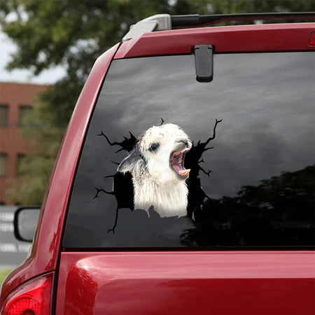 [da0451-snf-tnt]-funny-llama-crack-car-sticker-animals-lover-appy-outside-12x12inch