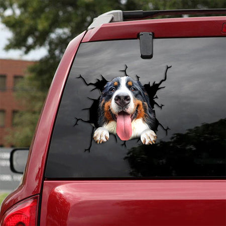 [th0463-snf-tpa]-bernese-mountain-crack-car-sticker-dogs-lover