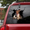 [ld0028-snf-lad]-german-shorthaired-pointer-crack-car-sticker-dogs-lover
