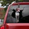 [ld0030-snf-lad]-german-shorthaired-pointer-crack-car-sticker-dogs-lover