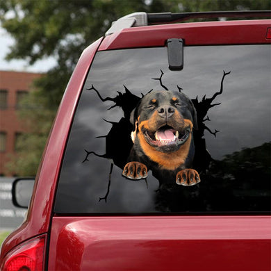 [ld0041-snf-lad]-rottweiler-crack-car-sticker-dogs-lover